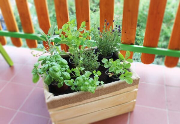 dřevěný květník